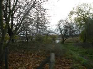 Bungsberg-CTF 106
